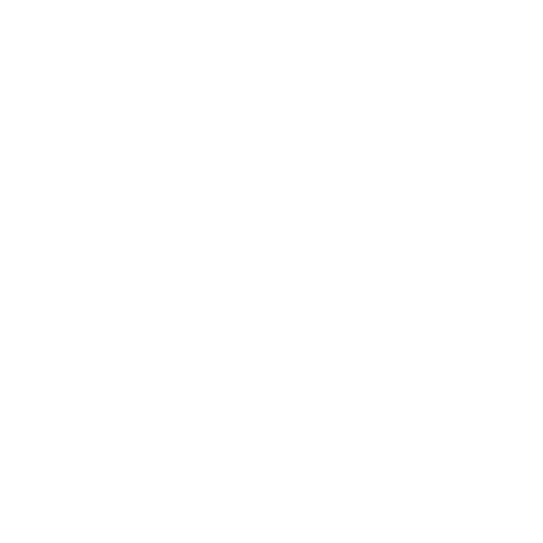 icono-instagram